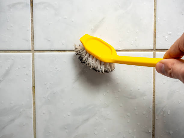 Best Mold Remediation  in Merryville, LA