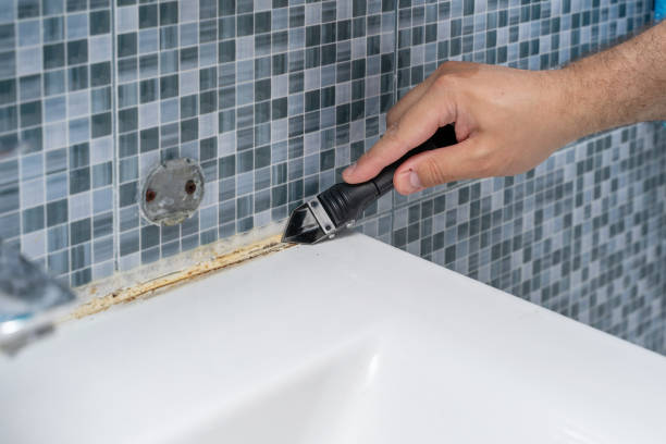 Best Mold Testing  in Merryville, LA