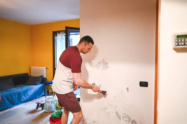 Best Mold Removal Company Near Me  in Merryville, LA
